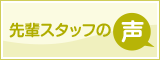 先輩スタッフの声